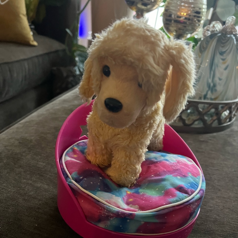 American girl, galaxy pet bed and apricot poodle excellent condition 4 pets.